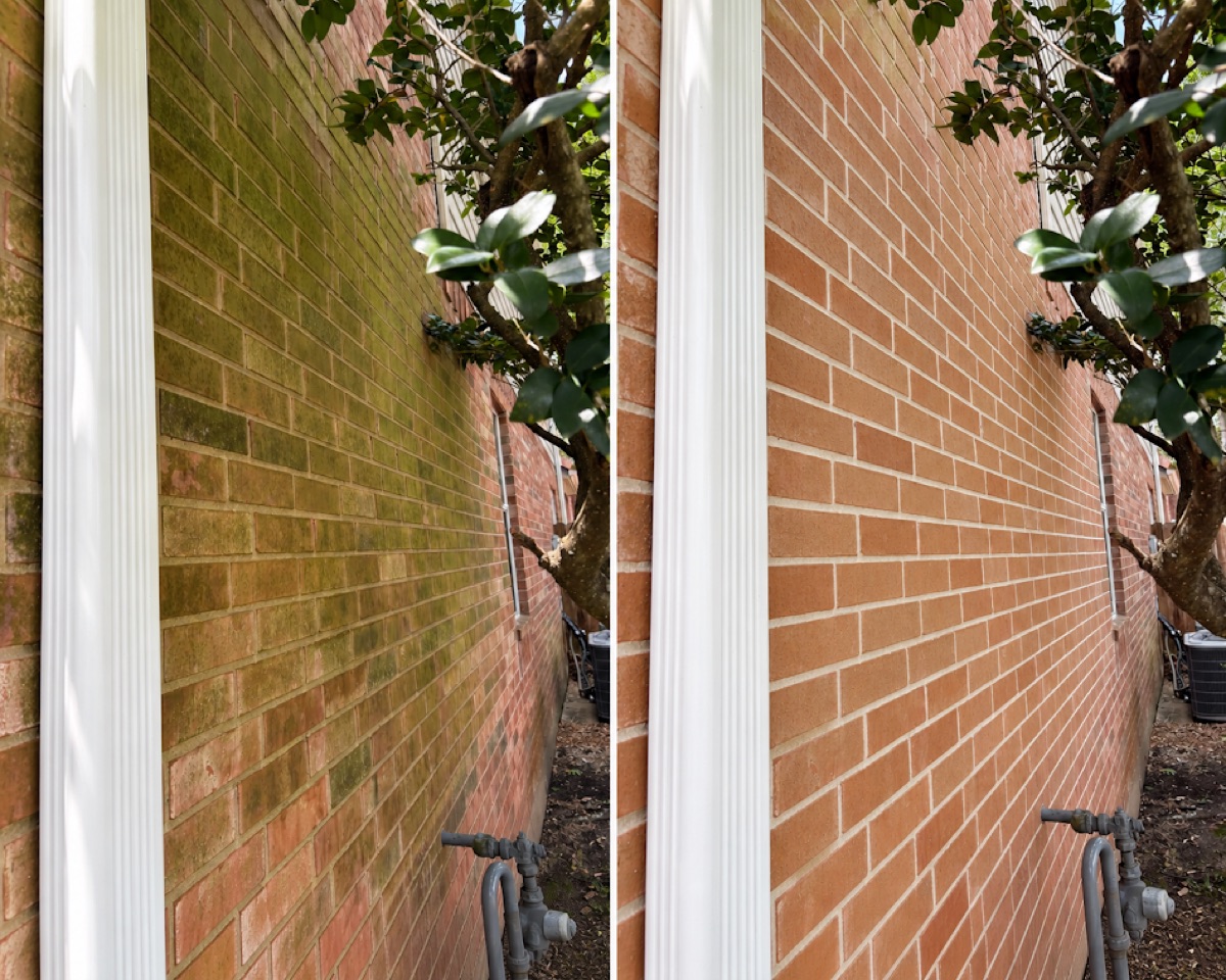 Brick wall before and after soft washing, left half mossy and right half clean