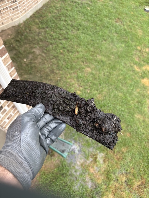 Sludge removed from a gutter downspout