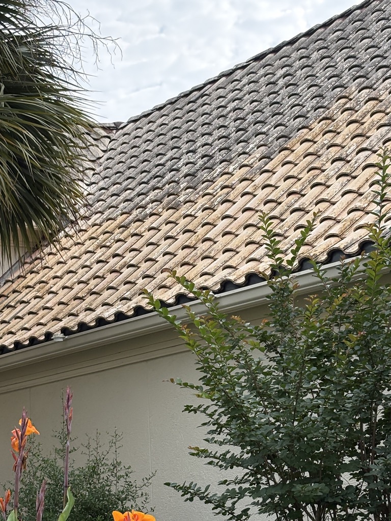 Roof tile section showing algae staining beside a cleaner area